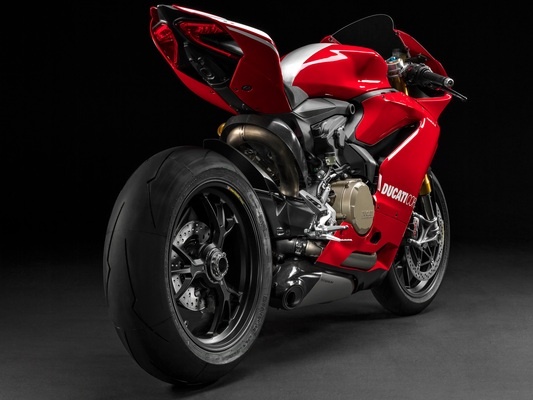 Фото мотоцикла Ducati Panigale R